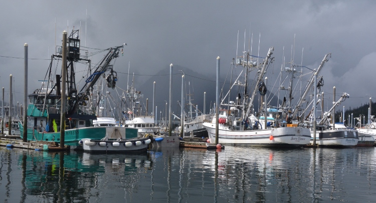 small-boat harbor